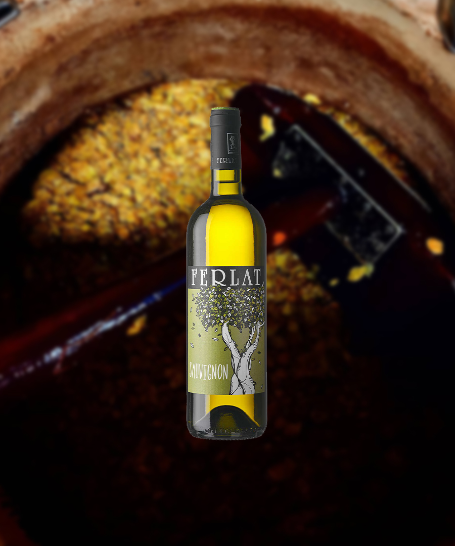 Sauvignon di Ferlat - 2021